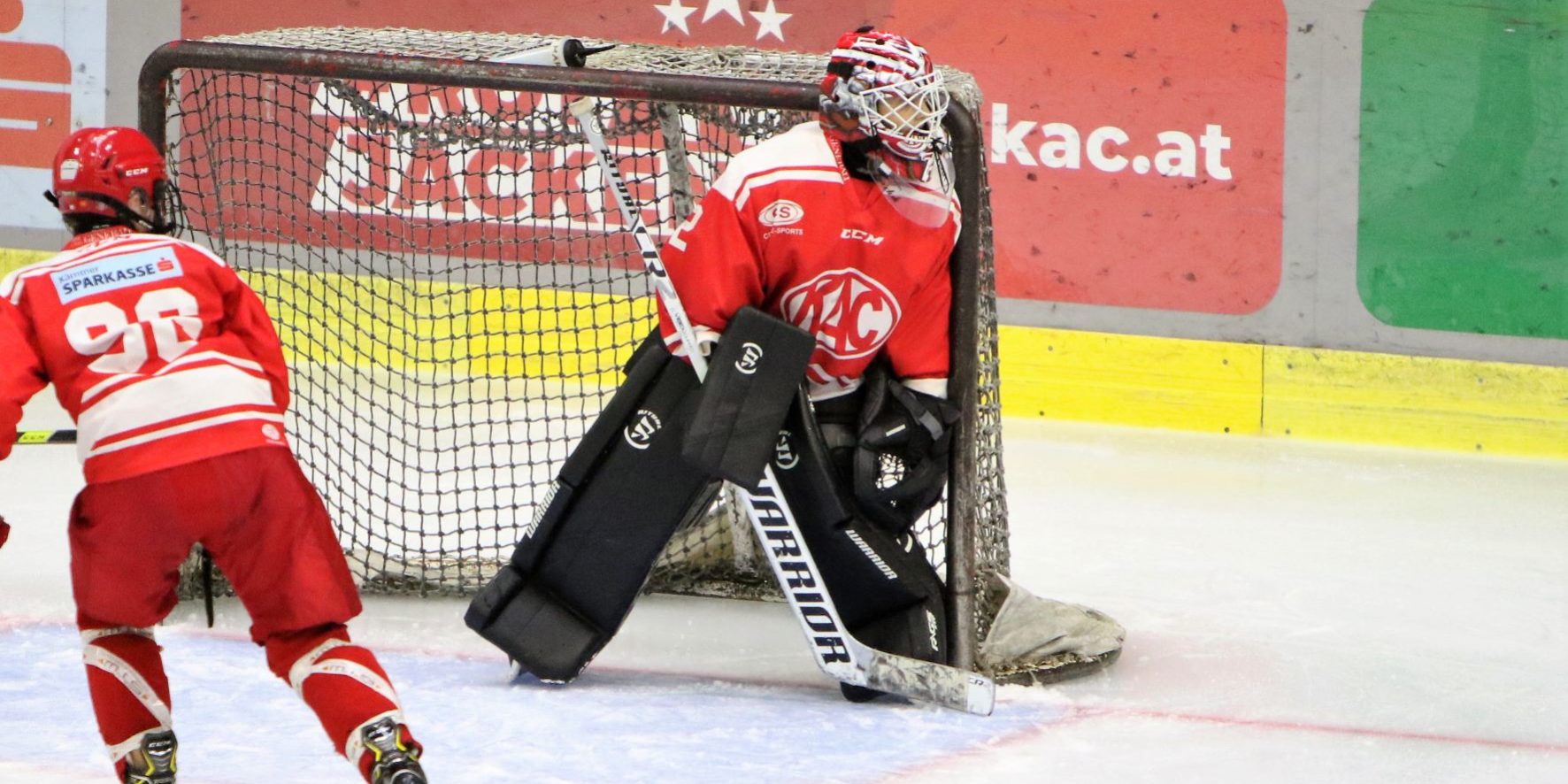 Photo-KAC-No.7_Nachwuchs